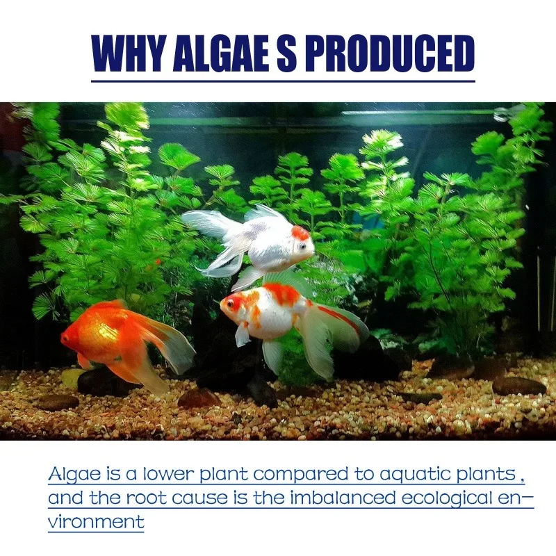 50g High Efficiency Algaecide  - огляд і ціна Planted Aquarium Parameters