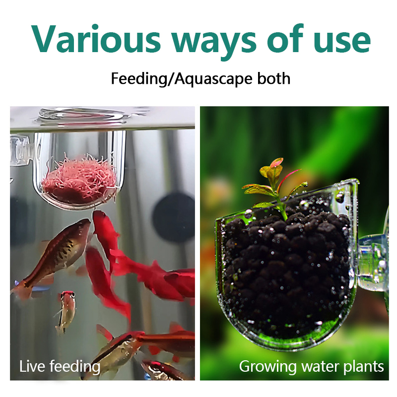 Aquarium Decoration Plant Cup  - огляд і ціна Planted Aquarium Products