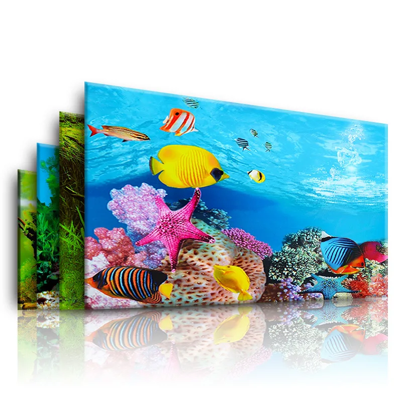 Background for Aquarium 3d  St - огляд і ціна Aquarium Plant Design
