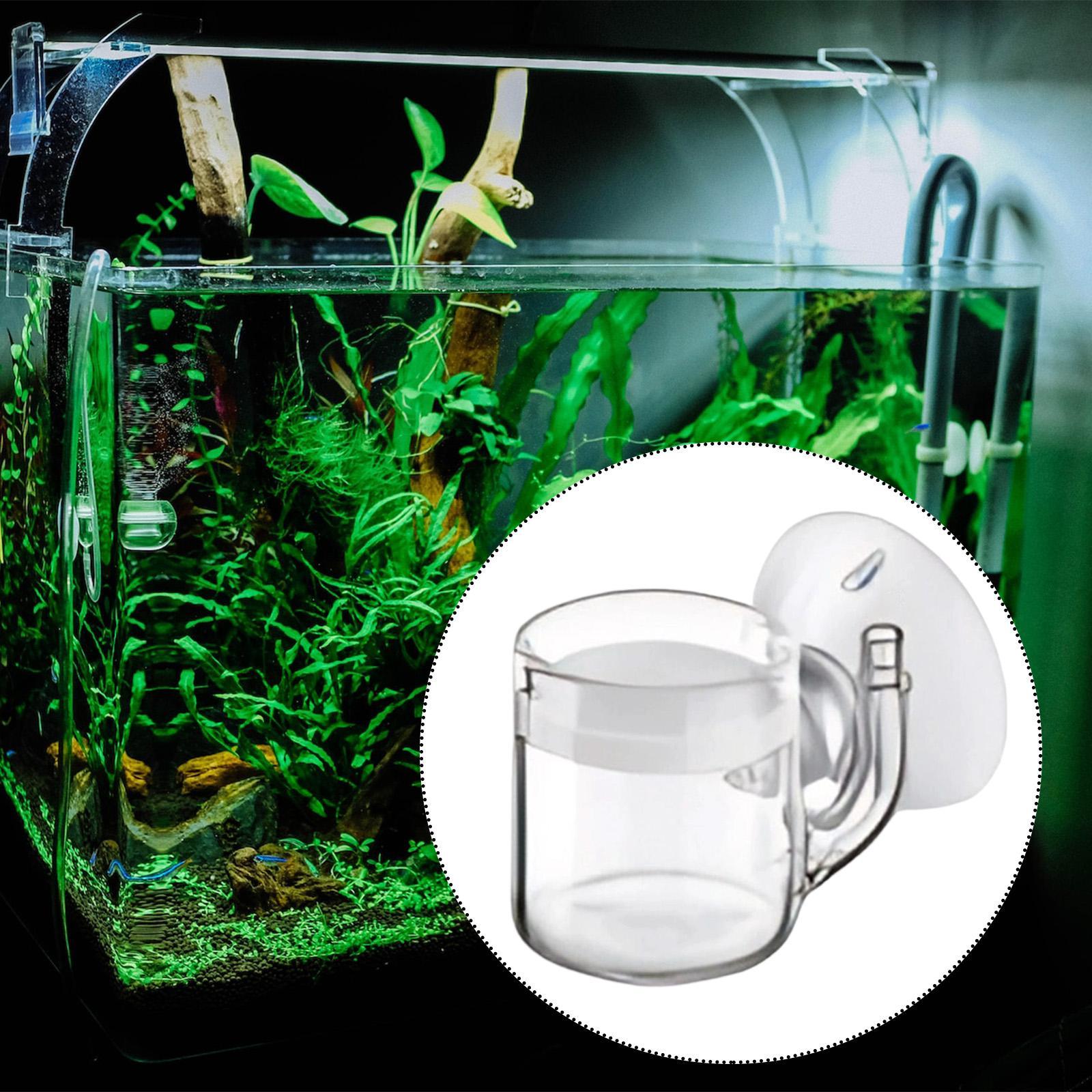 CO2 Aquarium Diffuser Glass Ma - огляд і ціна Aquarium Planted Tank Setup