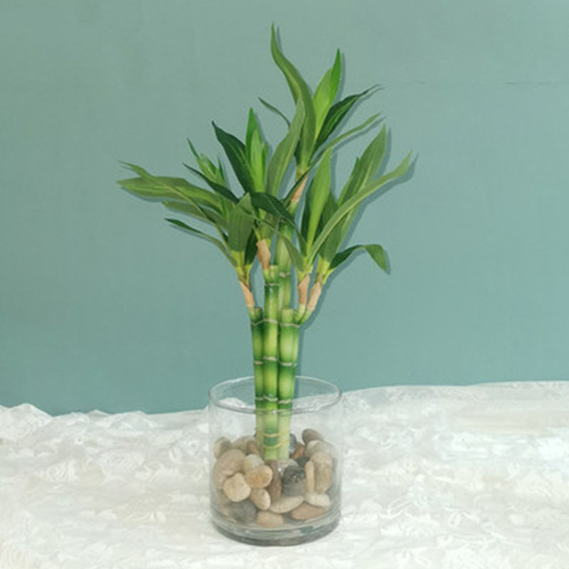 New 40cm Artificial Lucky Bamb - огляд і ціна Aquarium Plants Book