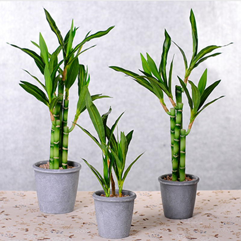 New 40cm Artificial Lucky Bamb - огляд і ціна Aquarium Plants Book