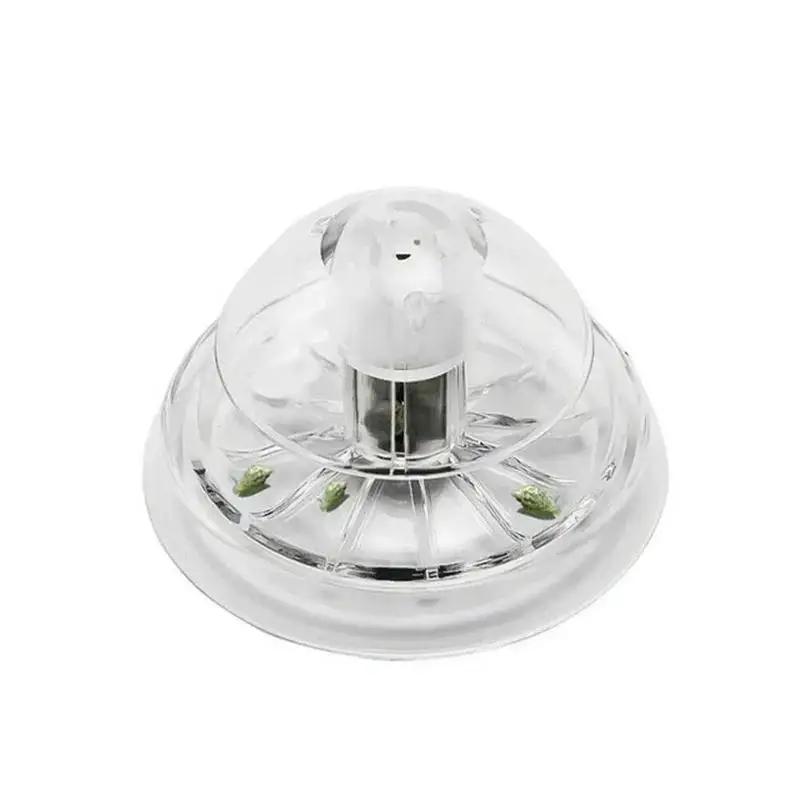 2026 New 6/8CM Clear Plastic S - огляд і ціна Aquarium Plants Book