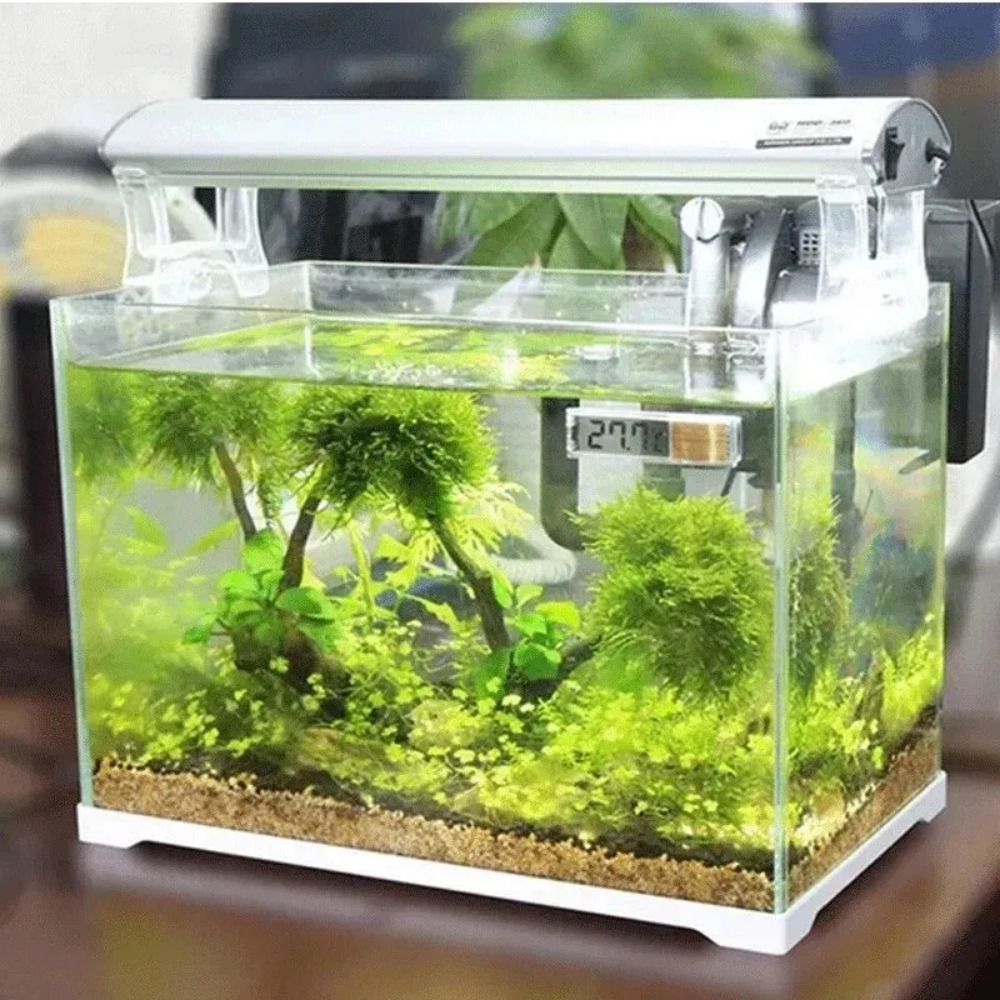 1PC Aquarium Thermometer Elect - огляд і ціна Planted Aquarium Temperature