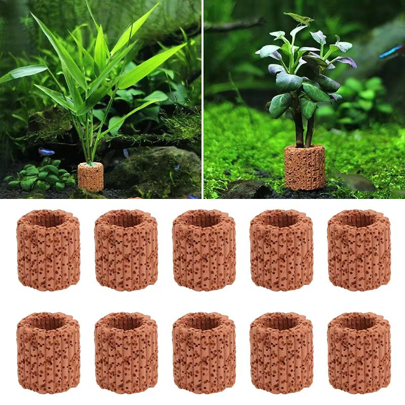 Aquatic Plant Fixed Ring for A - огляд і ціна Planted Aquarium Products