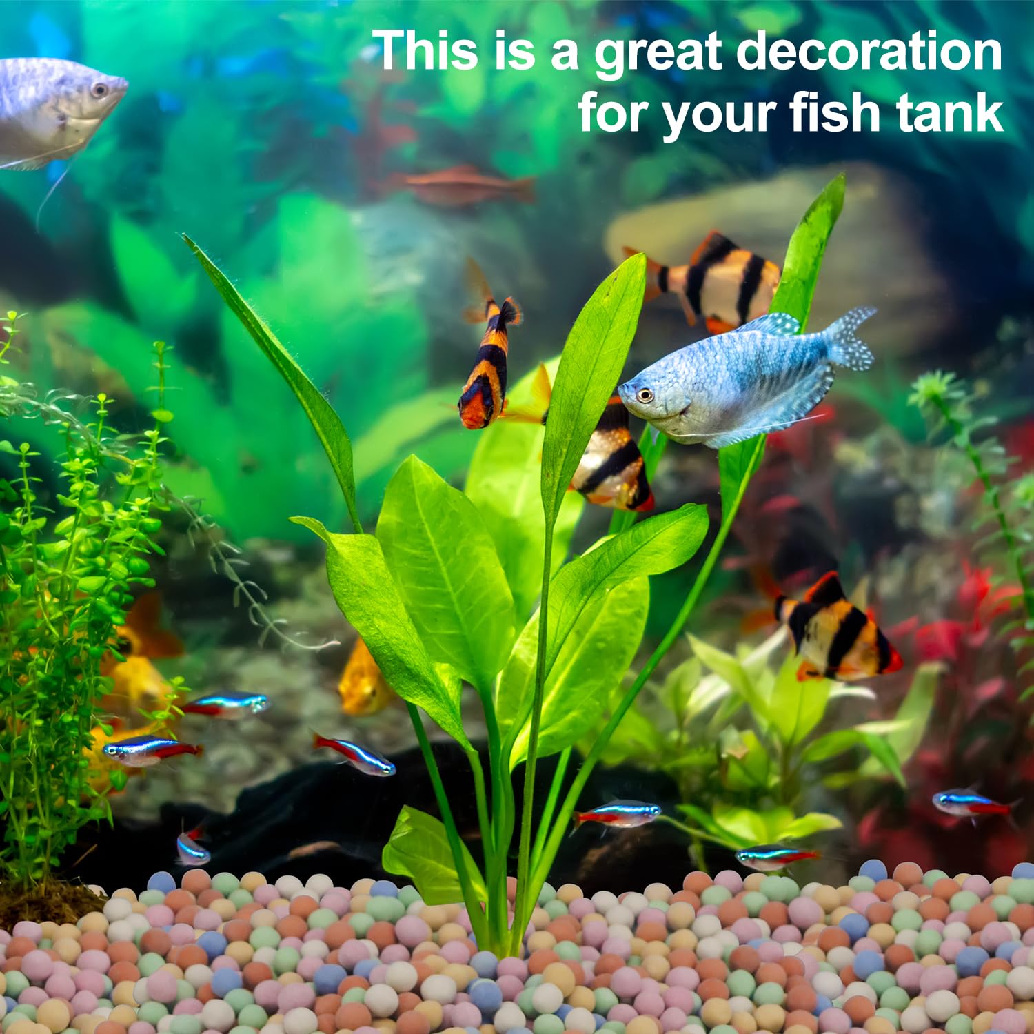 Hydroponic Plant Decorative Co - огляд і ціна Aquarium Plant Vitamins