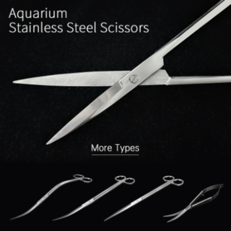 Week Aqua Stainless Steel Aqua - огляд і ціна Planted Aquarium Products