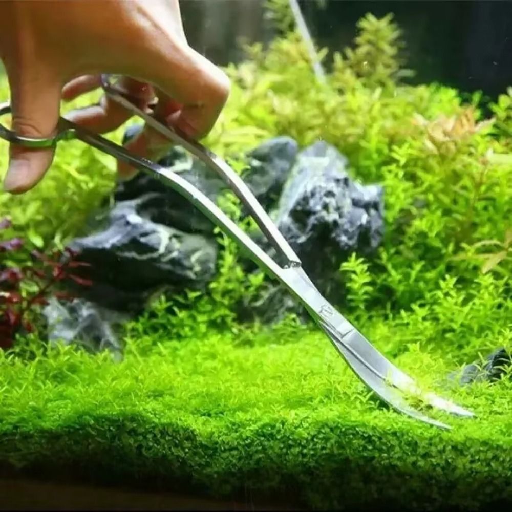 1Pcs Stainless Steel Aquarium  - огляд і ціна Planted Aquarium Products