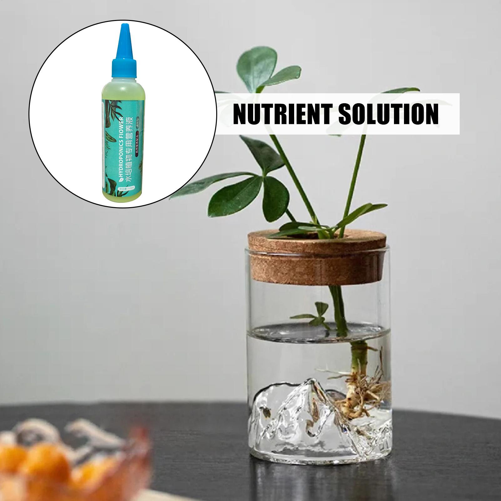 110ml Slow-Release All-Purpose - огляд і ціна Liquid Fertilizer All In
