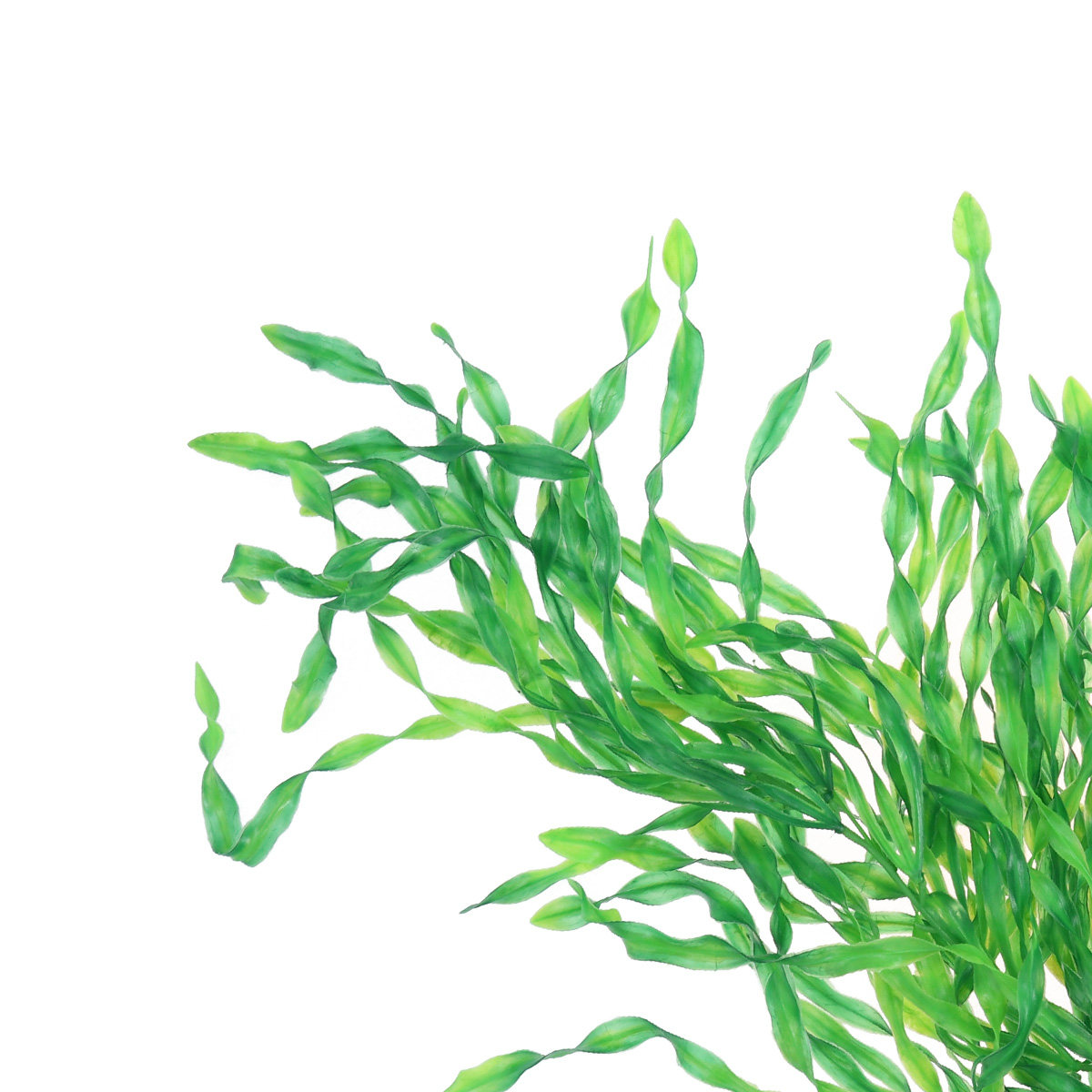 Realistic Aquarium Plants Plas - огляд і ціна Non Planted Aquarium Fish