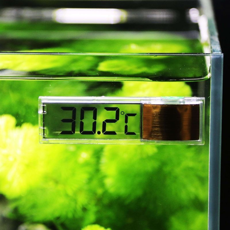 1pc Aquarium Thermometer 3D Di - огляд і ціна Planted Aquarium Temperature