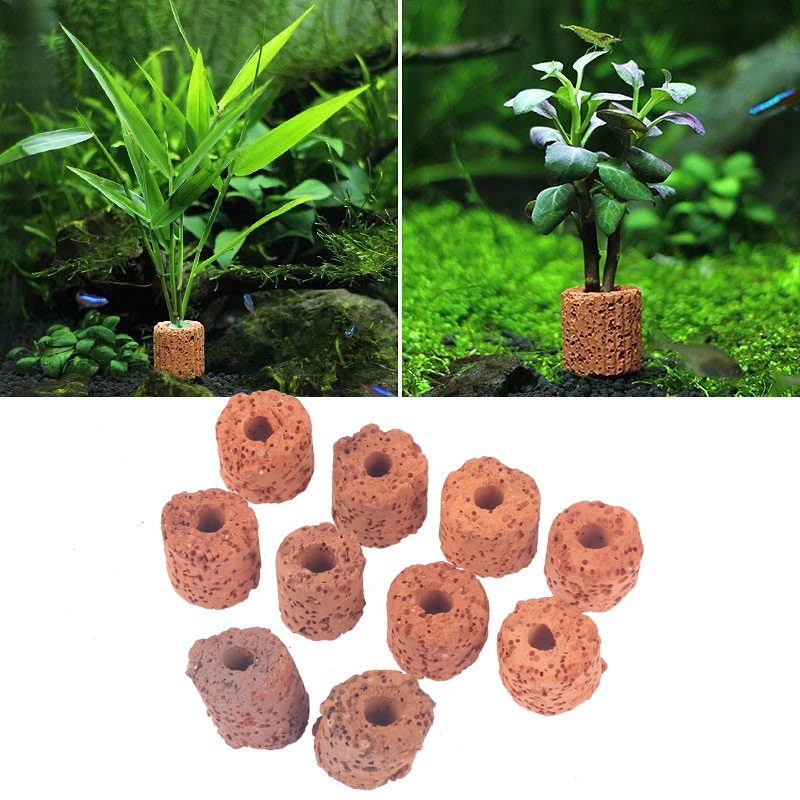 ^10Pcs Plant Ring Aquarium Fix - огляд і ціна Planted Aquarium Products