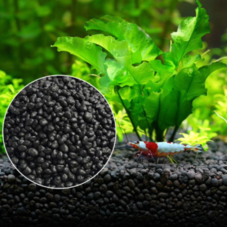 Aquarium Plant Seeds Soil Fish - огляд і ціна Aquarium Plants Book