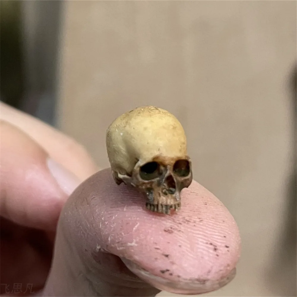 Mini Skull High Quality Miniat - огляд і ціна Aquarium Plants Book