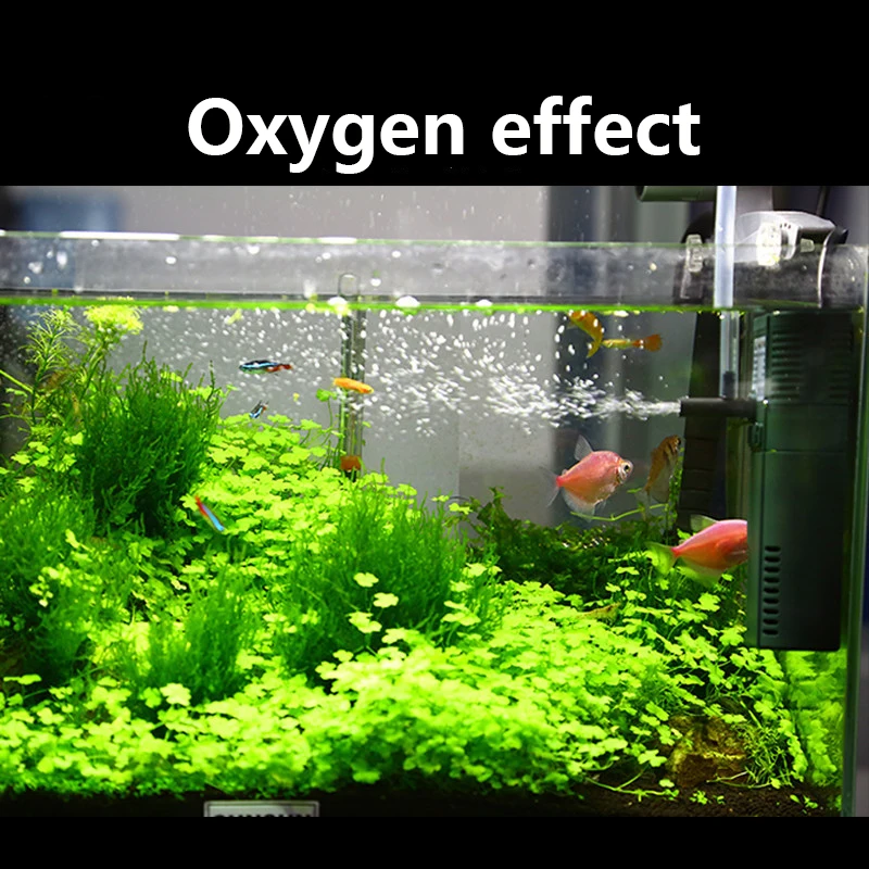 SUNSUN mini nano 111B 311B 611 - огляд і ціна Planted Aquarium Products